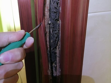 顺德白蚁预防公司高层住宅就不会有白蚁吗？