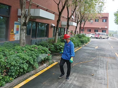 容桂病媒生物防控中心怎样做好绿化带蚊蝇防治