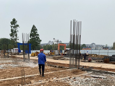杏坛专业灭蚁害中心预防白蚁从基建开始