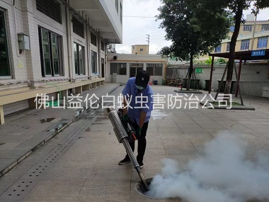 容桂下水道灭蚊虫工程