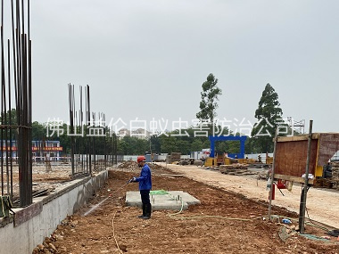 大良地基防白蚁工程