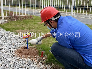 龙江红火蚁防治工程