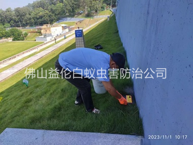 容桂堤坝鼠害防治工程